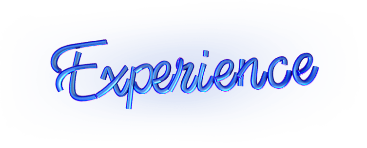 Experience